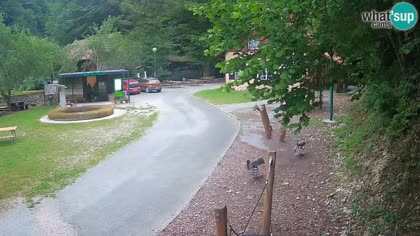 2026-07-08