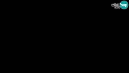 2025-06-06