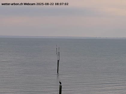 2025-08-22