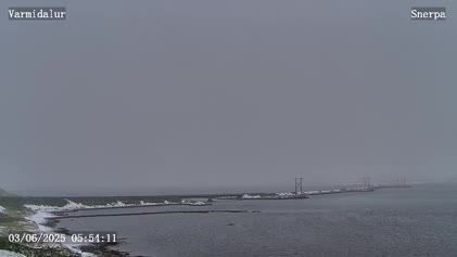 2025-06-03