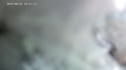 2025-08-20