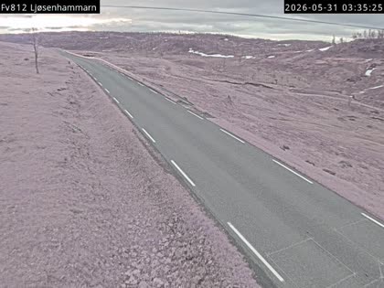 2026-05-31