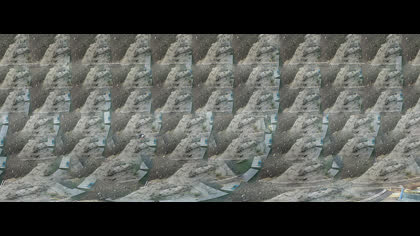 2025-07-30