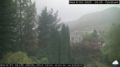 2025-10-08