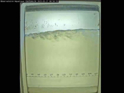2025-05-21