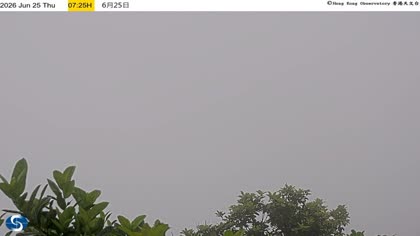2026-06-25