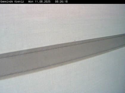 2025-08-11