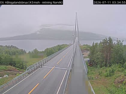 2026-07-11