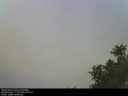 2026-06-12