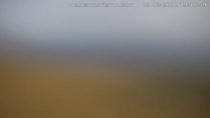 2025-05-12