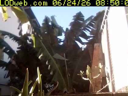 2026-06-24