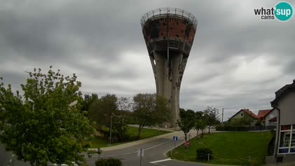 2025-05-12