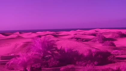 2025-09-04