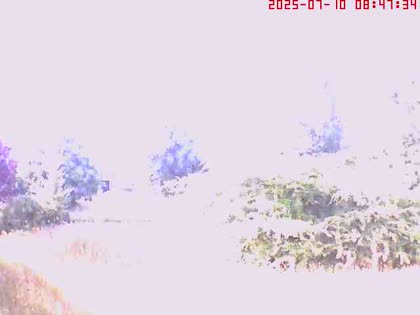 2025-07-10