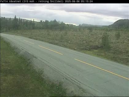 2025-06-06
