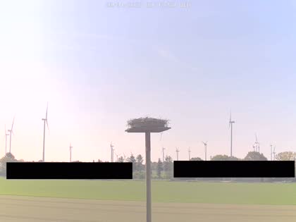2025-04-30