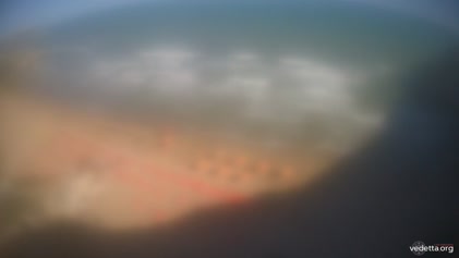 2025-06-29
