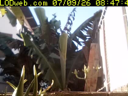 2026-07-09