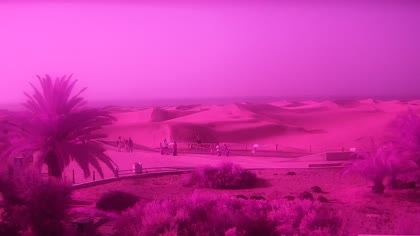 2026-07-22