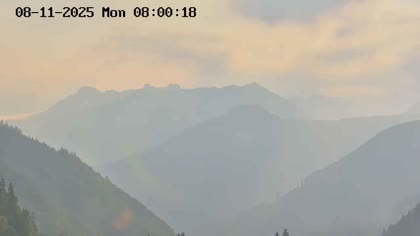2025-08-11