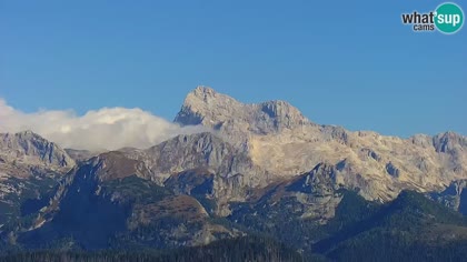 2026-10-07
