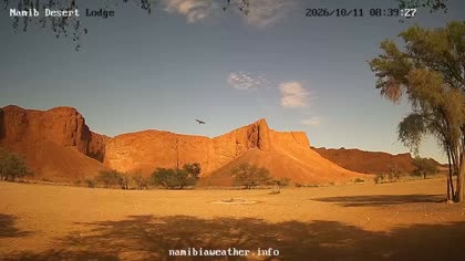 2026-10-11