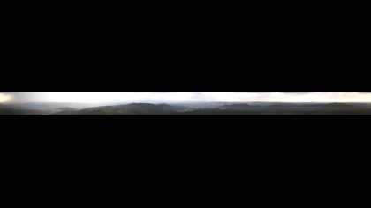 2026-08-17
