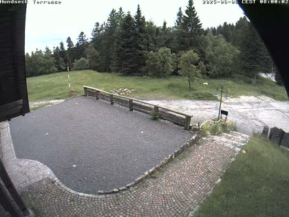 2025-06-06