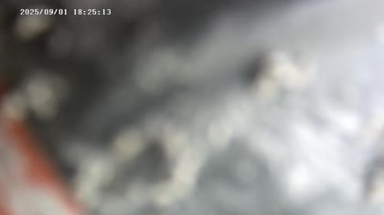 2025-09-01