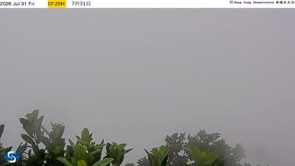 2026-07-31