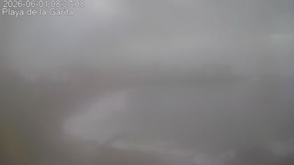 2026-06-01