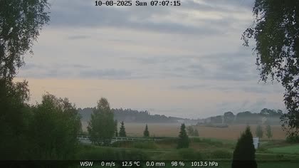 2025-08-10