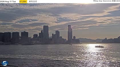 2026-08-11