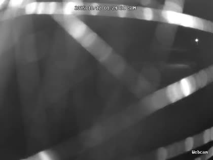 2025-10-12