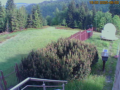 2025-06-03