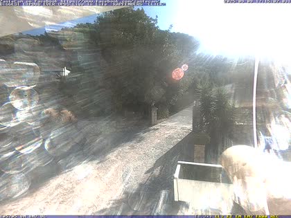 2025-09-09
