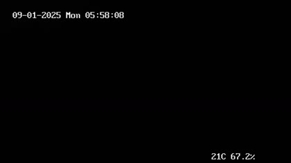 2025-09-01
