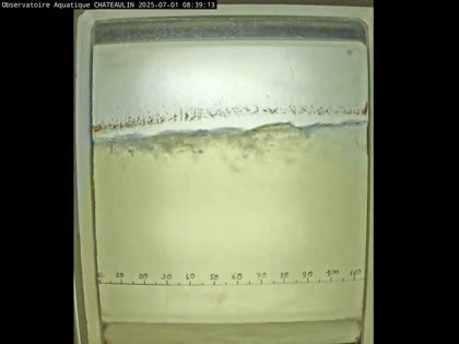 2025-07-01