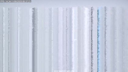 2025-08-11