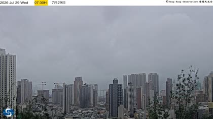 2026-07-29