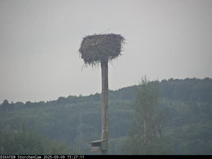 2025-09-09