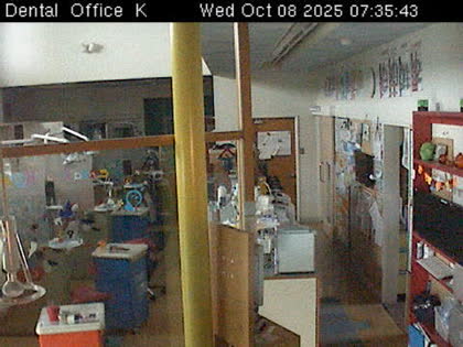 2025-10-08