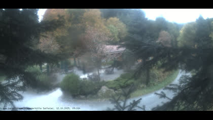 2025-10-12