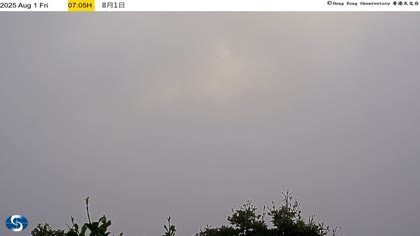 2025-08-01
