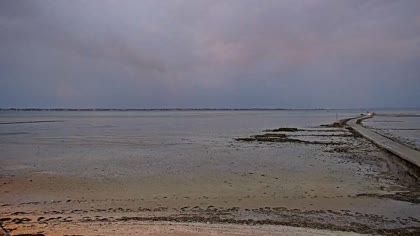 2025-09-02