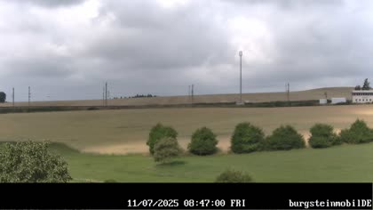 2025-07-11