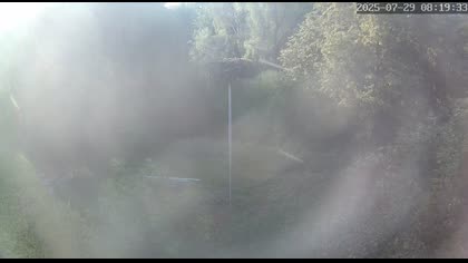 2025-07-29