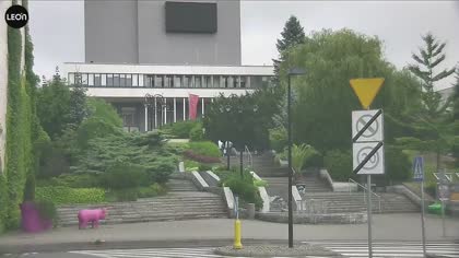 2025-07-08