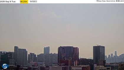 2026-09-08
