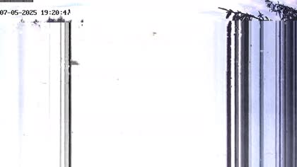 2025-07-05
